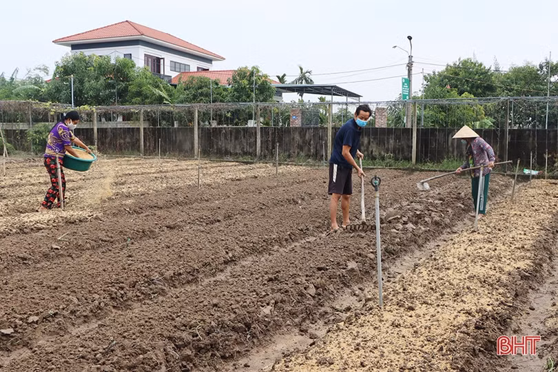 Nông dân Hà Tĩnh tất bật ra đồng sản xuất vụ đông
