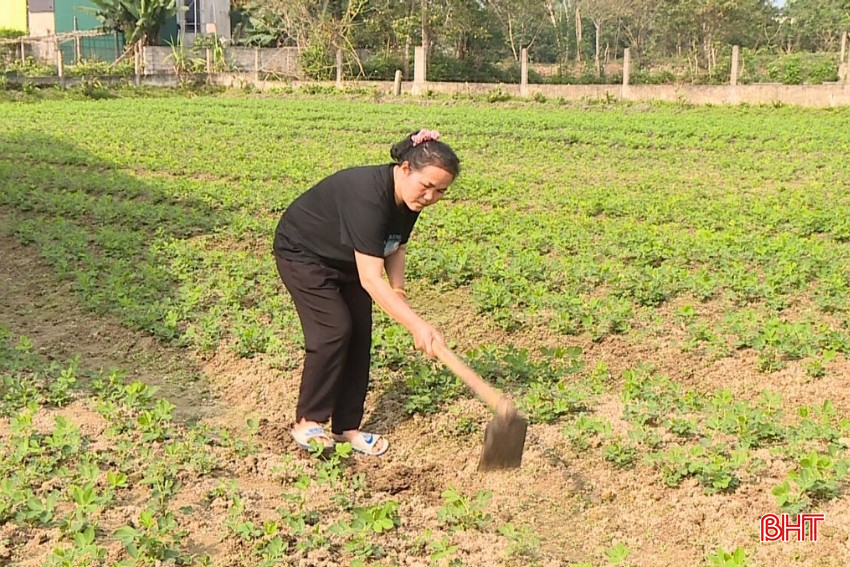 Muốn kiếm thêm việc làm nhưng chị Tâm không thể bỏ mặc 2 con nên chỉ quanh quẩn làm vườn, kiếm thêm thu nhập.
