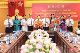 Hà Tĩnh công bố các quyết định thành lập 2 Đảng bộ, kiện toàn tổ chức Đảng