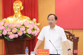 Ban Thường vụ Tỉnh ủy Hà Tĩnh cho ý kiến các nội dung thuộc thẩm quyền