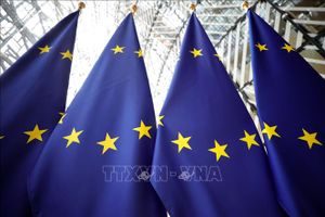 EU tạm ngừng tiến trình xem xét kết nạp Gruzia
