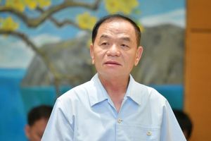Đồng ý khởi tố, bắt tạm giam và tạm đình chỉ nhiệm vụ đại biểu Quốc hội đối với ông Lê Thanh Vân
