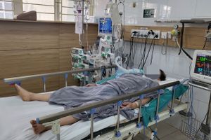 Nữ bệnh nhân ở Vũ Quang bị ngừng tim vì uống nhầm rễ cây lá ngón 
