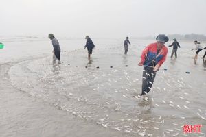 Ngư dân Lộc Hà vào mùa "đi giật lùi"