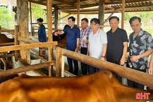 Nhân rộng các mô hình nông nghiệp hiệu quả của Hương Khê trên đất Lào