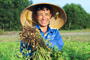 Vụ lạc xuân thắng lợi toàn diện tại Hà Tĩnh