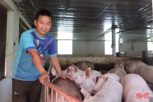 Giá lợn hơi tăng, người chăn nuôi vẫn thận trọng tái đàn