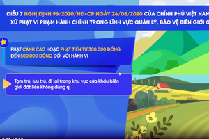 Các mức xử phạt vi phạm hành chính trong quản lý, bảo vệ biên giới