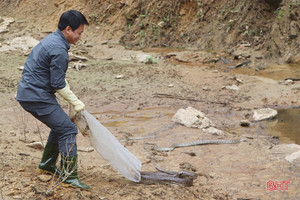 Thực thi pháp luật trong bảo tồn đa dạng sinh học, bảo vệ các loài hoang dã