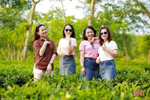 Tìm hướng phát triển du lịch nông nghiệp nông thôn ở Hà Tĩnh