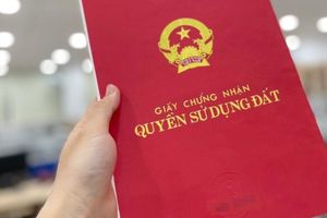 Luật Đất đai 2024: Quy định cấp sổ đỏ cho hộ sử dụng đất không giấy tờ