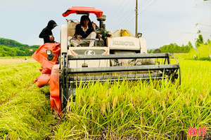 Niềm vui trên những cánh đồng lớn đầu tiên ở Vũ Quang