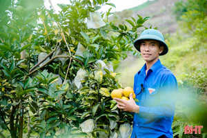 Lập nghiệp tại quê nhà, thanh niên Vũ Quang xây dựng gần 250 mô hình kinh tế 