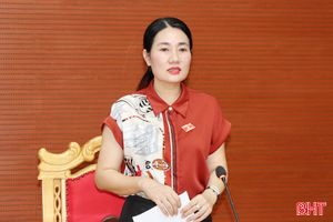 Đại biểu Vũ Quang đóng góp ý kiến vào dự thảo các nghị quyết trình kỳ họp HĐND tỉnh 