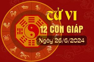 Xem tử vi 12 con giáp hôm nay ngày 26/6/2024.