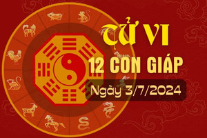 Tử vi 12 con giáp hôm nay ngày 3/7/2024