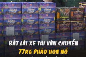 Bắt lái xe tải vận chuyển 77kg pháo hoa nổ qua biên giới Hà Tĩnh
