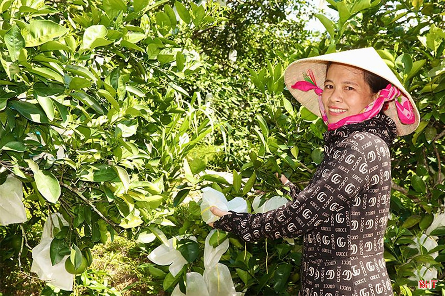 Chị Lê Thị Tâm vui mừng với thành quả là vườn cam trĩu quả của gia đình. bqbht_br_chi-le-thi-tam-vui-mung-voi-thanh-qua-la-vuon-cam-triu-qua-cua-gia-dinh.jpg