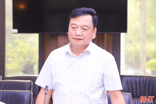 Hà Tĩnh thúc đẩy phát triển bền vững cây dó bầu