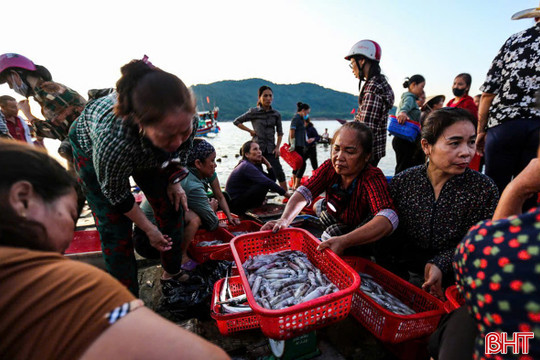 Hà Tĩnh rộn ràng mùa sản xuất cuối năm