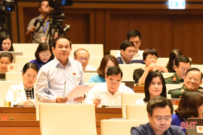 Cử tri Hà Tĩnh tha thiết đề nghị Chính phủ báo cáo Bộ Chính trị cho kết thúc dự án mỏ sắt Thạch Khê