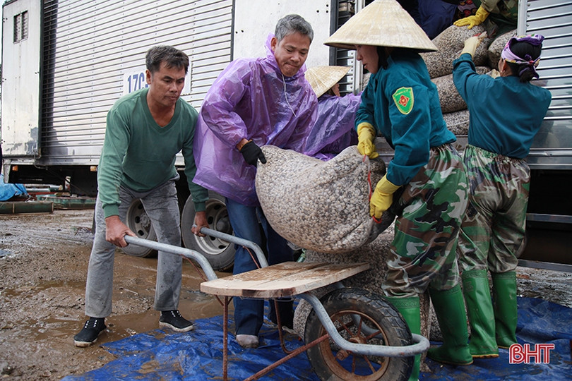 Vùng nuôi ngao lớn nhất Hà Tĩnh vượt lên khó khăn, tự tin thả lứa mới