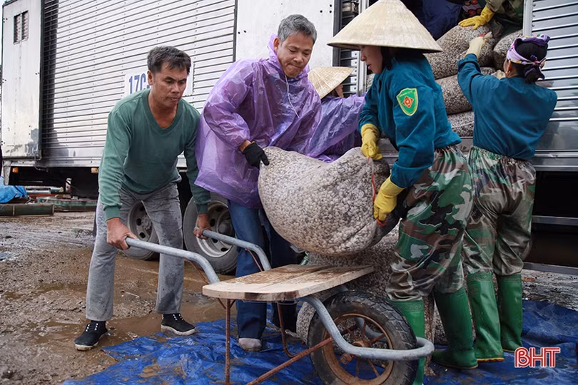 Vùng nuôi ngao lớn nhất Hà Tĩnh vượt lên khó khăn, tự tin thả lứa mới
