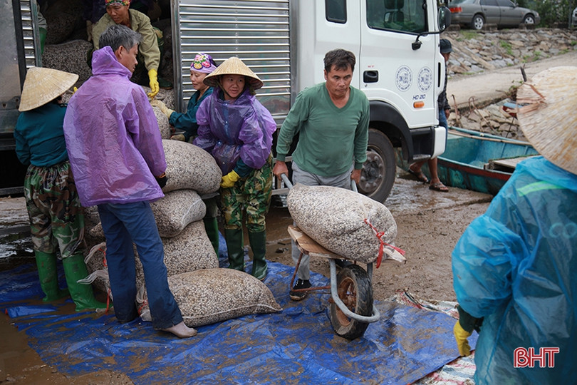 Vùng nuôi ngao lớn nhất Hà Tĩnh vượt lên khó khăn, tự tin thả lứa mới
