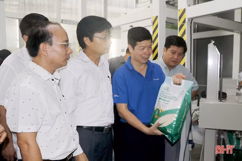 Kết nối, tiêu thụ sản phẩm OCOP giữa các tỉnh Hà Tĩnh - Hà Nội - Quảng Ninh