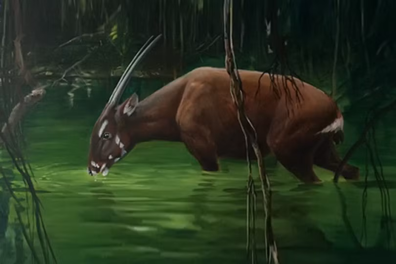 Vườn Quốc gia Vũ Quang hành trình đến “Vườn Di sản ASEAN”