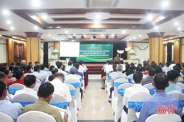 Liên minh HTX Hà Tĩnh trang bị kiến thức OCOP cho hơn 100 học viên