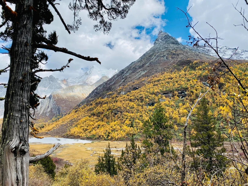 Núi rừng vào thu đẹp như tiên cảnh thu hút du khách tới Trung Quốc ảnh 9 Núi rừng vào thu đẹp như tiên cảnh thu hút du khách tới Trung Quốc