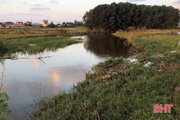 Phát hiện thi thể người phụ nữ sau 1 ngày đi tìm trâu rồi mất liên lạc