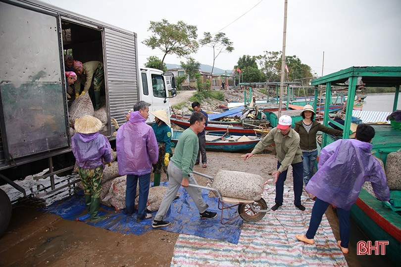 Vùng nuôi ngao lớn nhất Hà Tĩnh vượt lên khó khăn, tự tin thả lứa mới