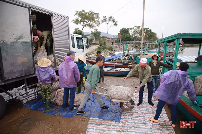 Vùng nuôi ngao lớn nhất Hà Tĩnh vượt lên khó khăn, tự tin thả lứa mới