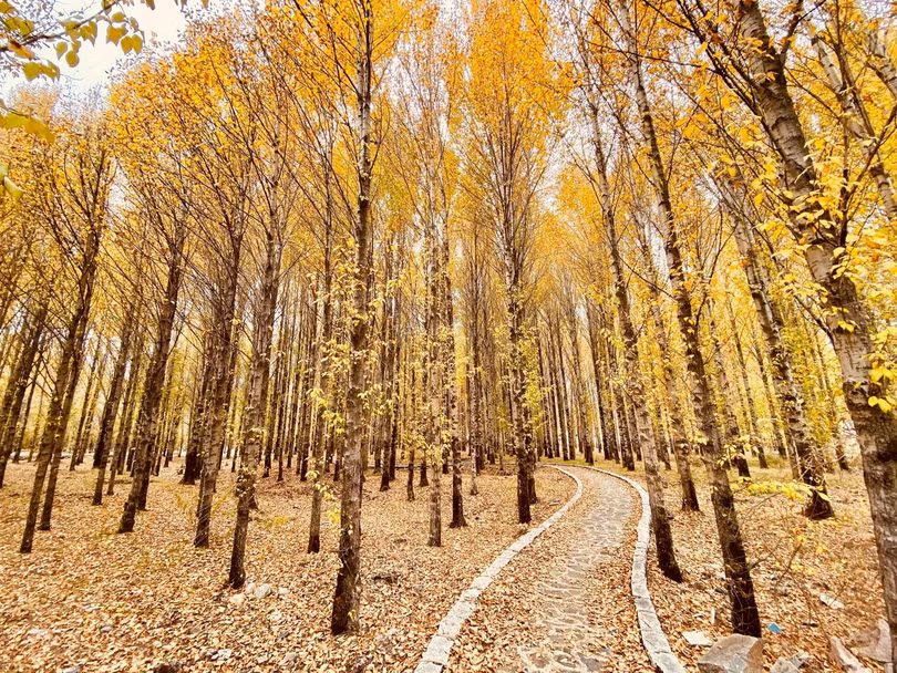 Núi rừng vào thu đẹp như tiên cảnh thu hút du khách tới Trung Quốc