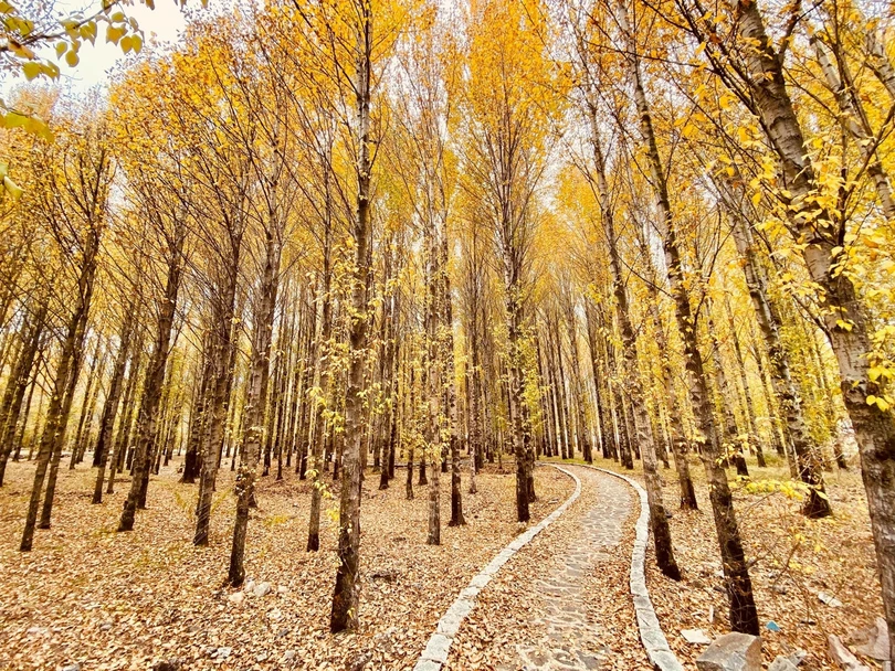 Núi rừng vào thu đẹp như tiên cảnh thu hút du khách tới Trung Quốc ảnh 1 Núi rừng vào thu đẹp như tiên cảnh thu hút du khách tới Trung Quốc