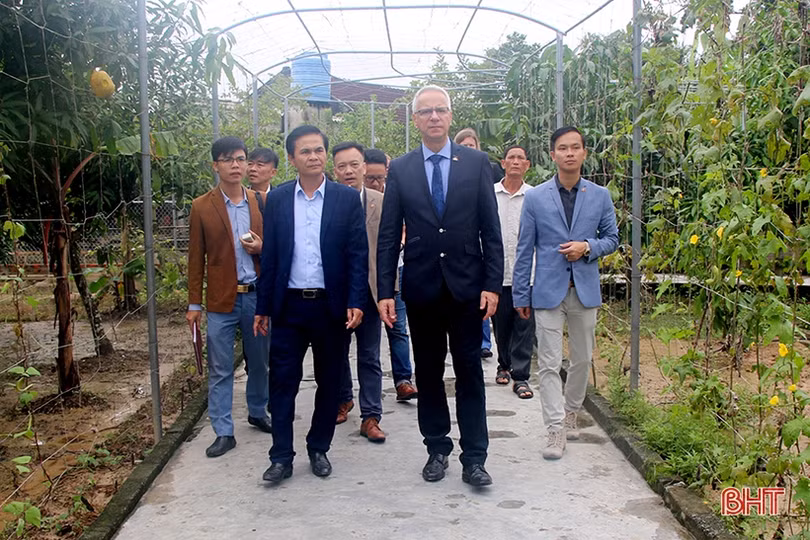 Hà Tĩnh đề nghị bang Mecklengburg – Vorpommern hỗ trợ phát triển nông thôn bền vững