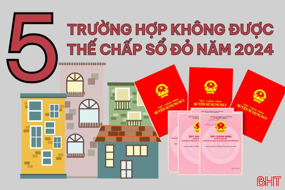 [Motion Graphics] 5 trường hợp không được sang tên sổ đỏ theo Luật Đất đai 2024