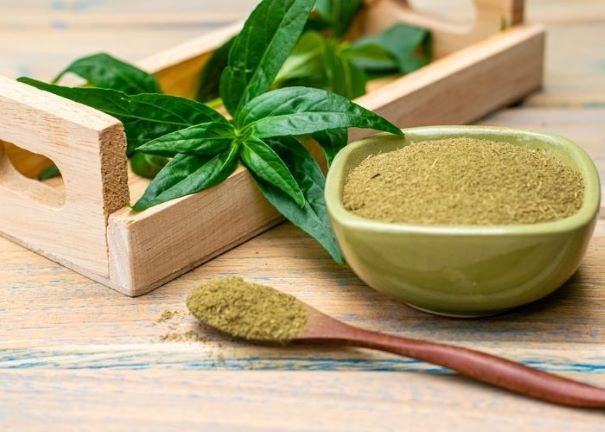 Tác dụng trị bệnh trên thực nghiệm của xuyên tâm liên