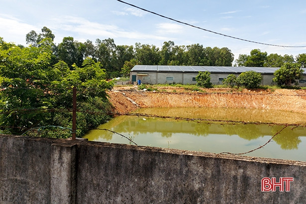 Can Lộc xử phạt một chủ trang trại chăn nuôi 20 triệu đồng