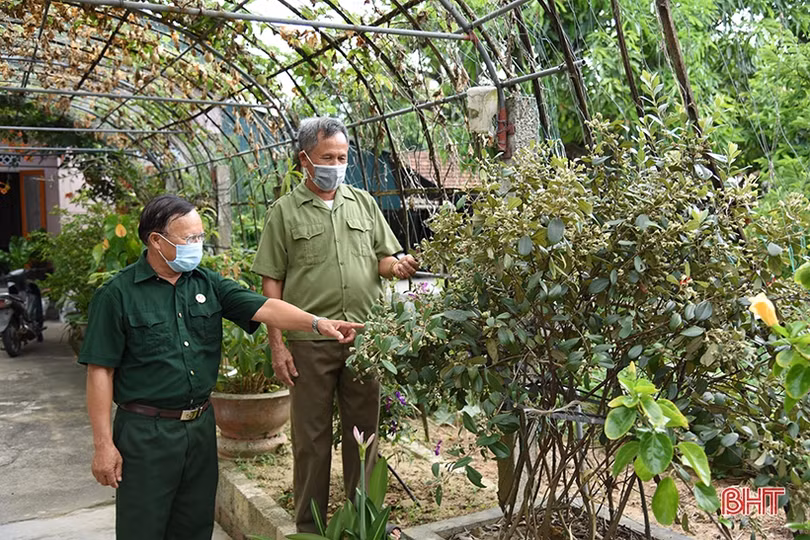 Cựu chiến binh góp sức xây dựng nông thôn mới ở xã vùng biển Hà Tĩnh