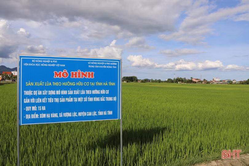 Đổi mới tư duy, đưa kinh tế tập thể phát triển có chiều sâu