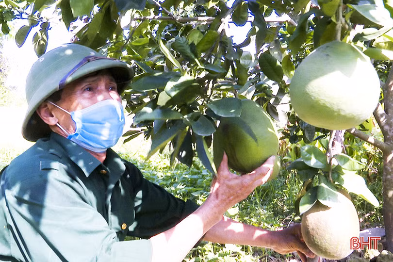 Nhìn lại thành quả lao động, tôi có thêm động lực để tiếp tục phấn đấu”