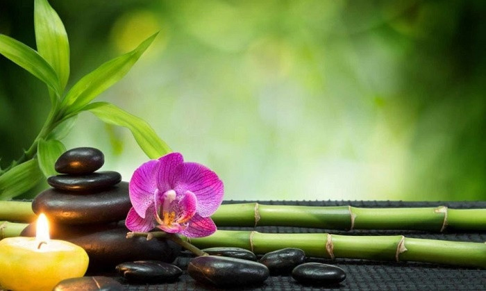 Tính cách tốt là phong thủy cao quý nhất của một người
