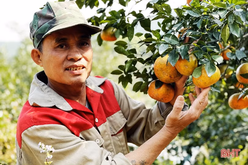 Vũ Quang bừng sáng giữa đại ngàn