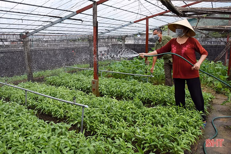 Cựu chiến binh góp sức xây dựng nông thôn mới ở xã vùng biển Hà Tĩnh