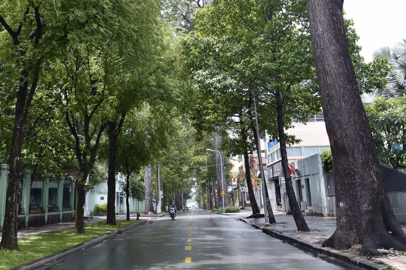 Tình yêu thành phố lấp lánh nơi những lời ca