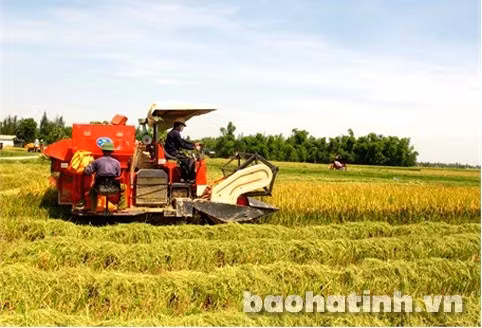 Hướng đến một nền nông nghiệp hiện đại, bền vững. Hướng đến một nền nông nghiệp hiện đại, bền vững.