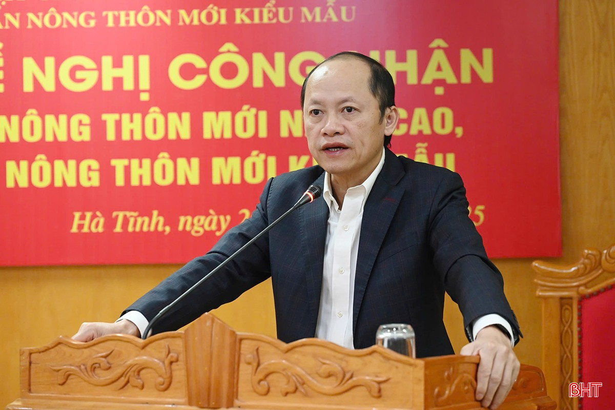 Phó Chủ tịch Thường trực UBND tỉnh Nguyễn Hồng Lĩnh phát biểu kết luận.